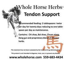 Whole Horse Tendon Support for racehorses