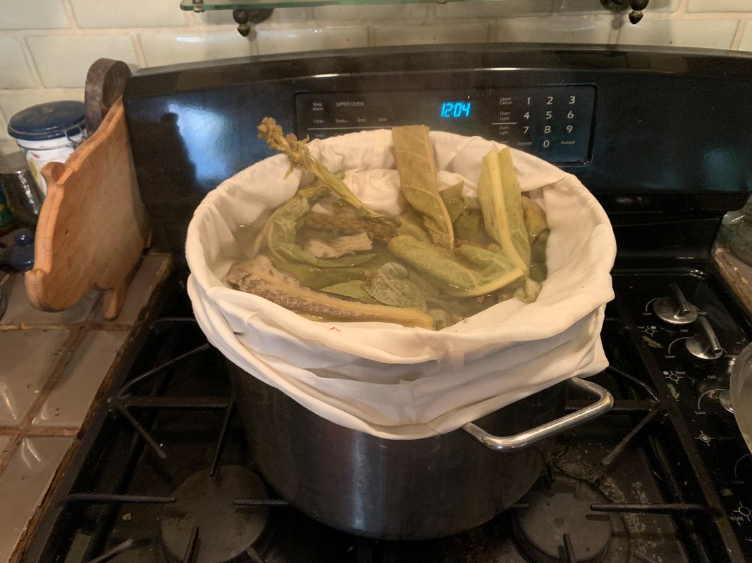 Mullein tea for lungs and respiratory illness