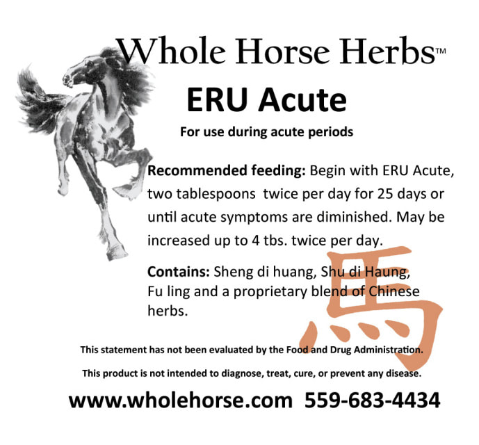 Whole Horse ERU Acute